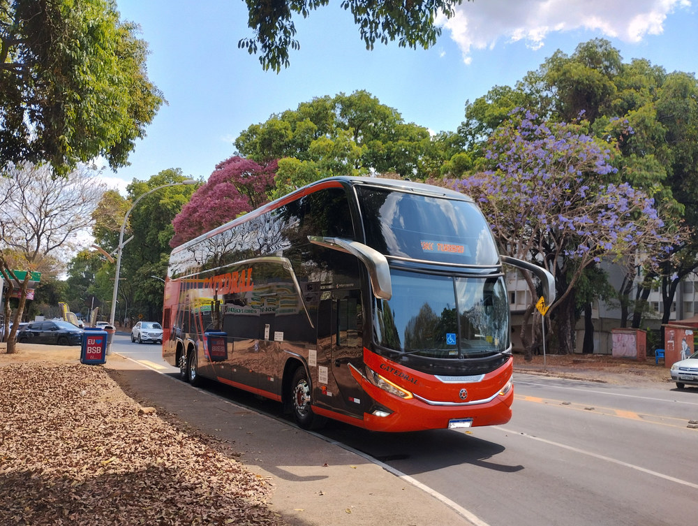 Автобус Чернігів Київ квиток: як купити онлайн з InBus